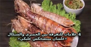 4 علامات للتفرقة بين الجمبري والشيكال.. «علشان ميتضحكش عليكي»